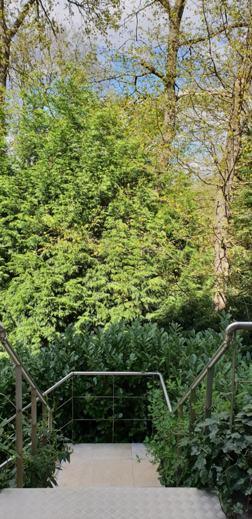 Bed and Breakfast Sleep And Dream Lieja Exterior foto